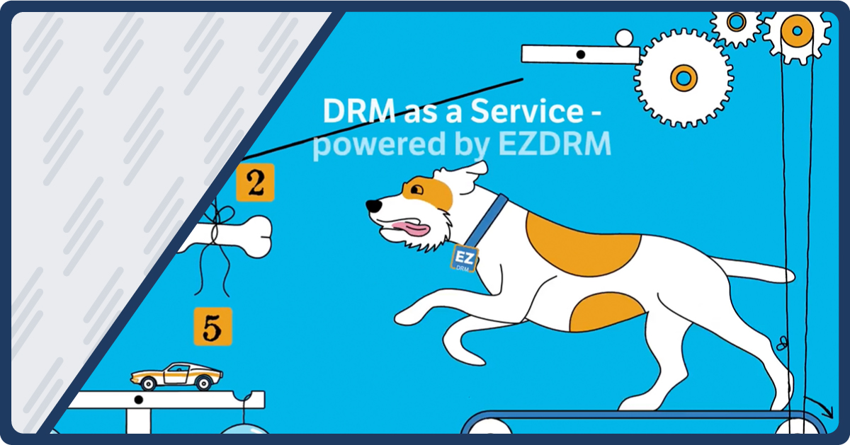 The simplicity of DRMaaS